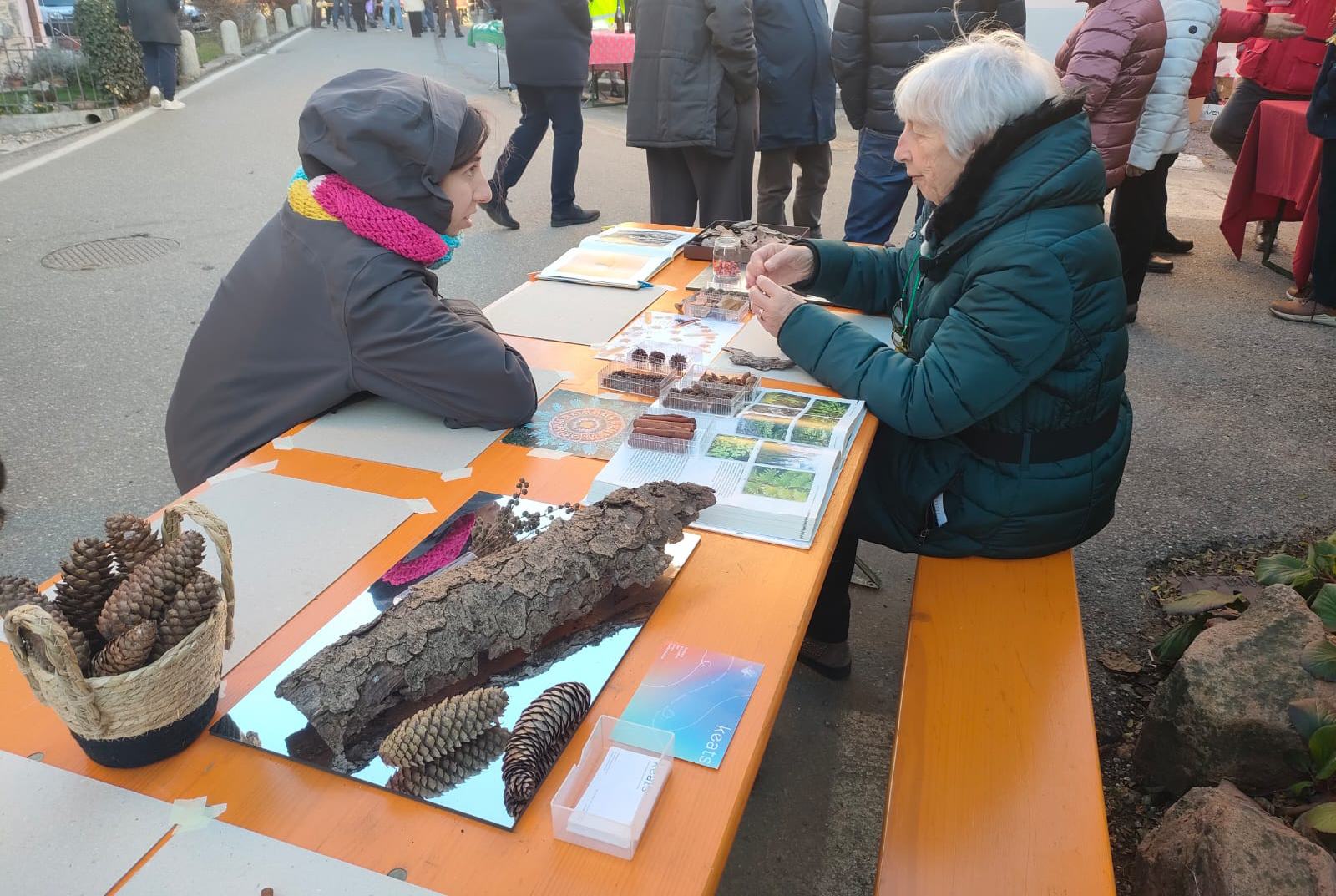 WhatsApp Image 2026-05-15 at 11.06.12